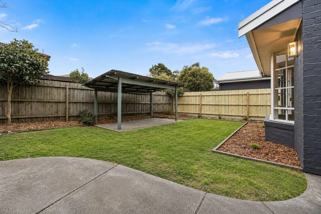 Back yard