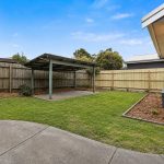 Back yard